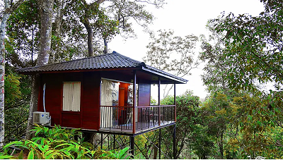 TreeHouse 