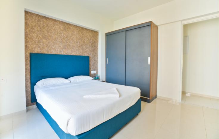 1 BHK  Apartment 