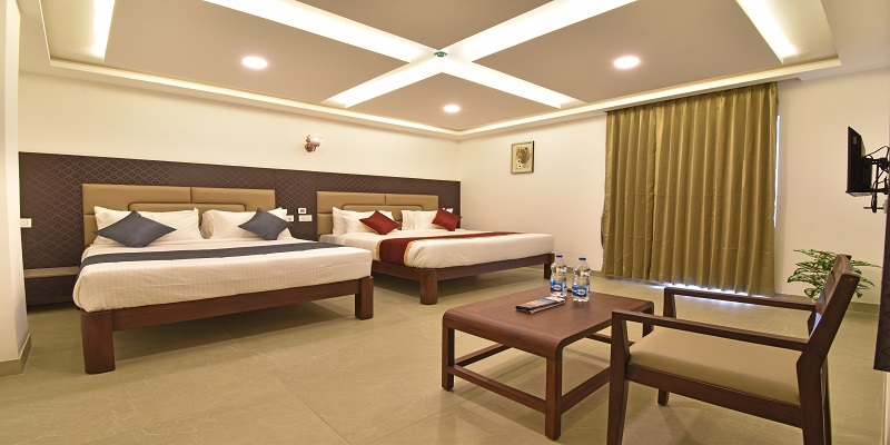 Family Suite 