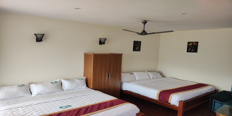 Suite Room 